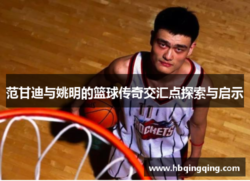 范甘迪与姚明的篮球传奇交汇点探索与启示